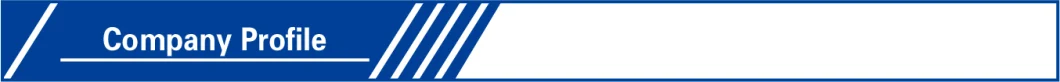 Platinum Palladium Rhodium PT/Pd/Rh Catalyst Alumina Catalyst Euro III IV V VI for Catalyst Converters